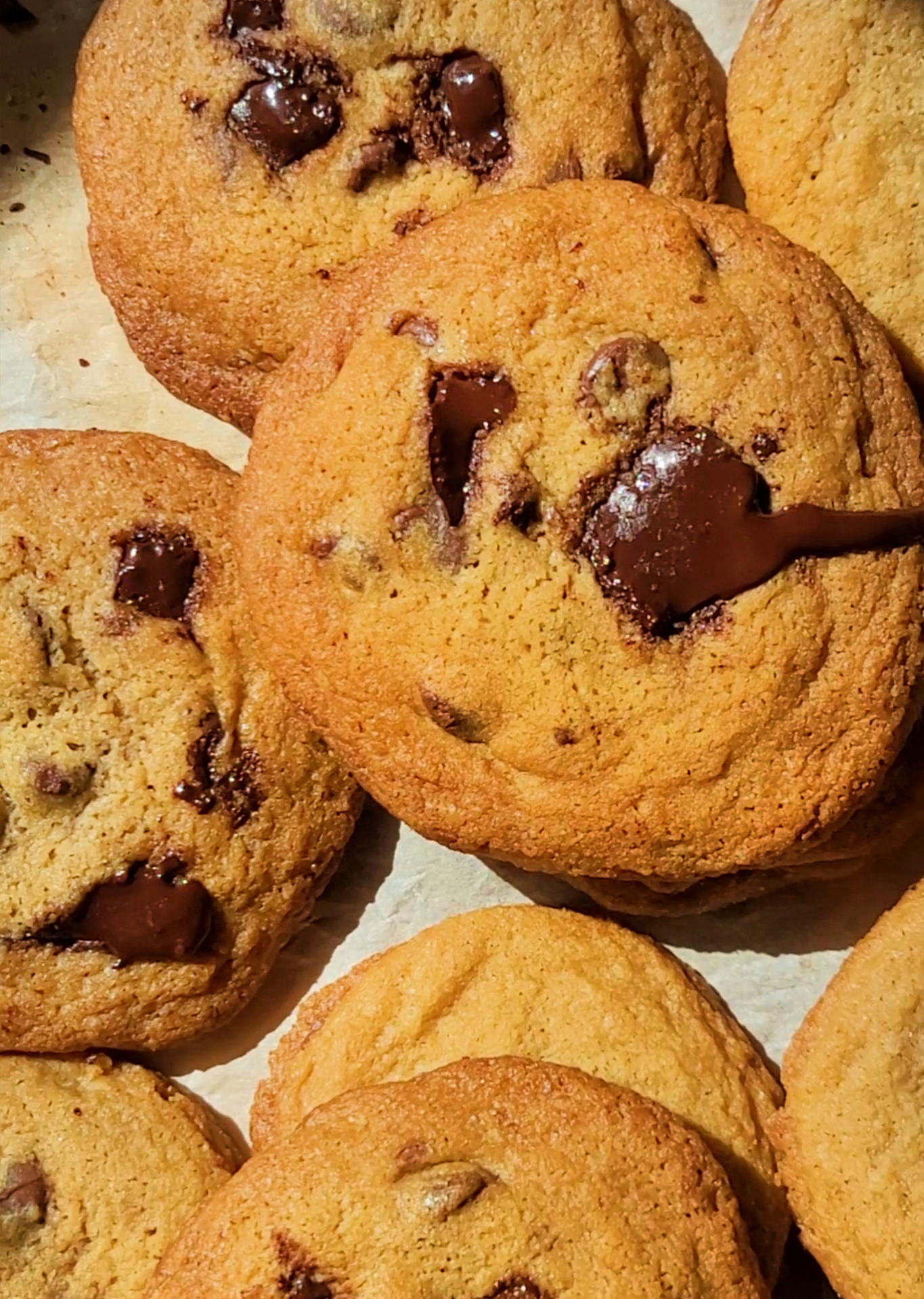 Soft Chocolate Chip Cookies