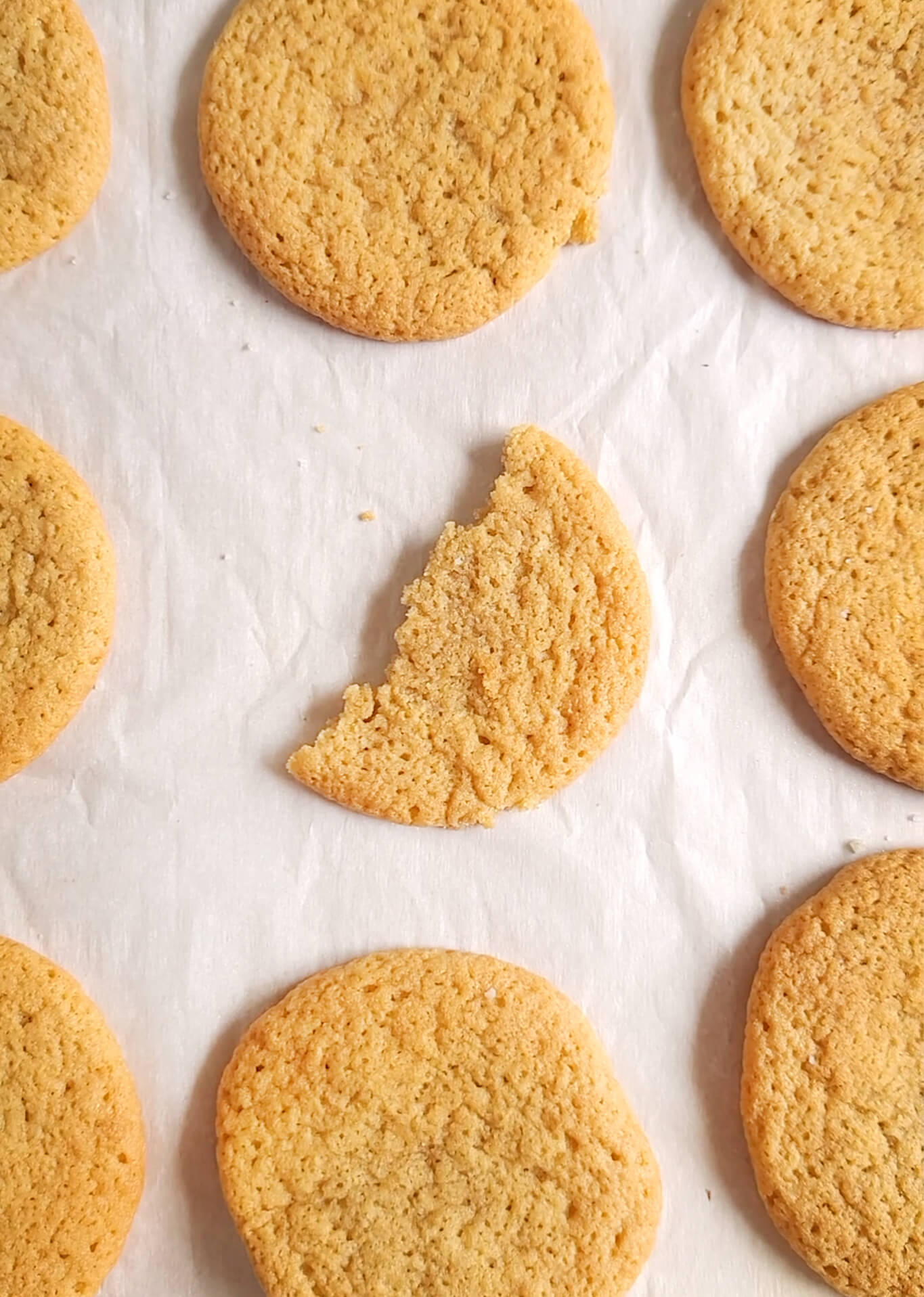 Chewy Chocolate Chipless Cookies